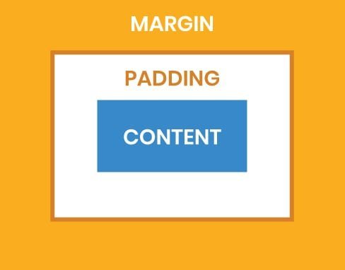margin & padding