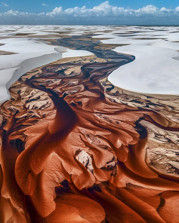 PaulNicklen 11