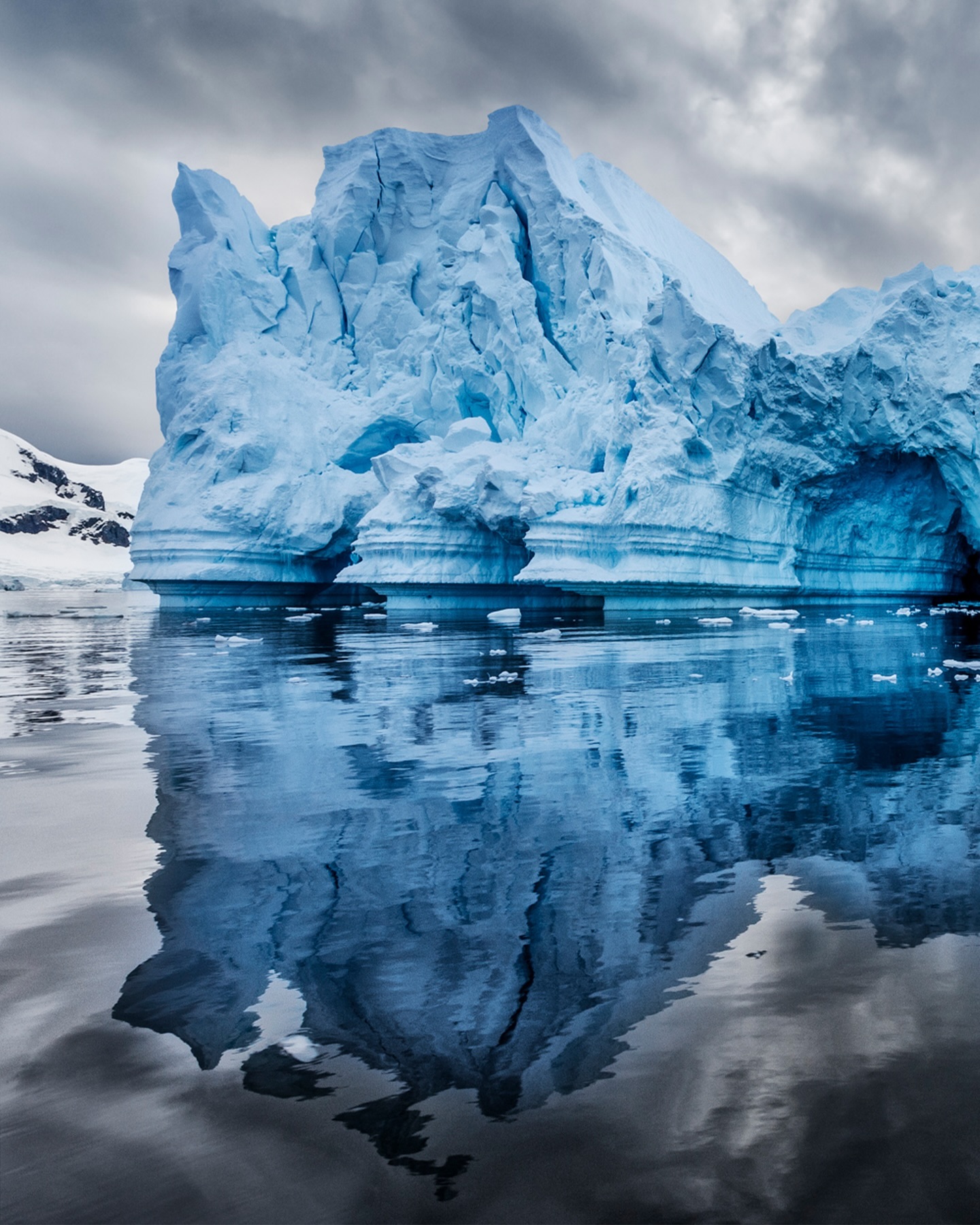 PaulNicklen 13