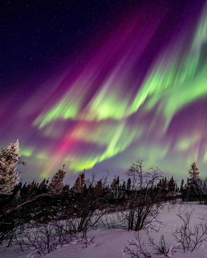 PaulNicklen 17