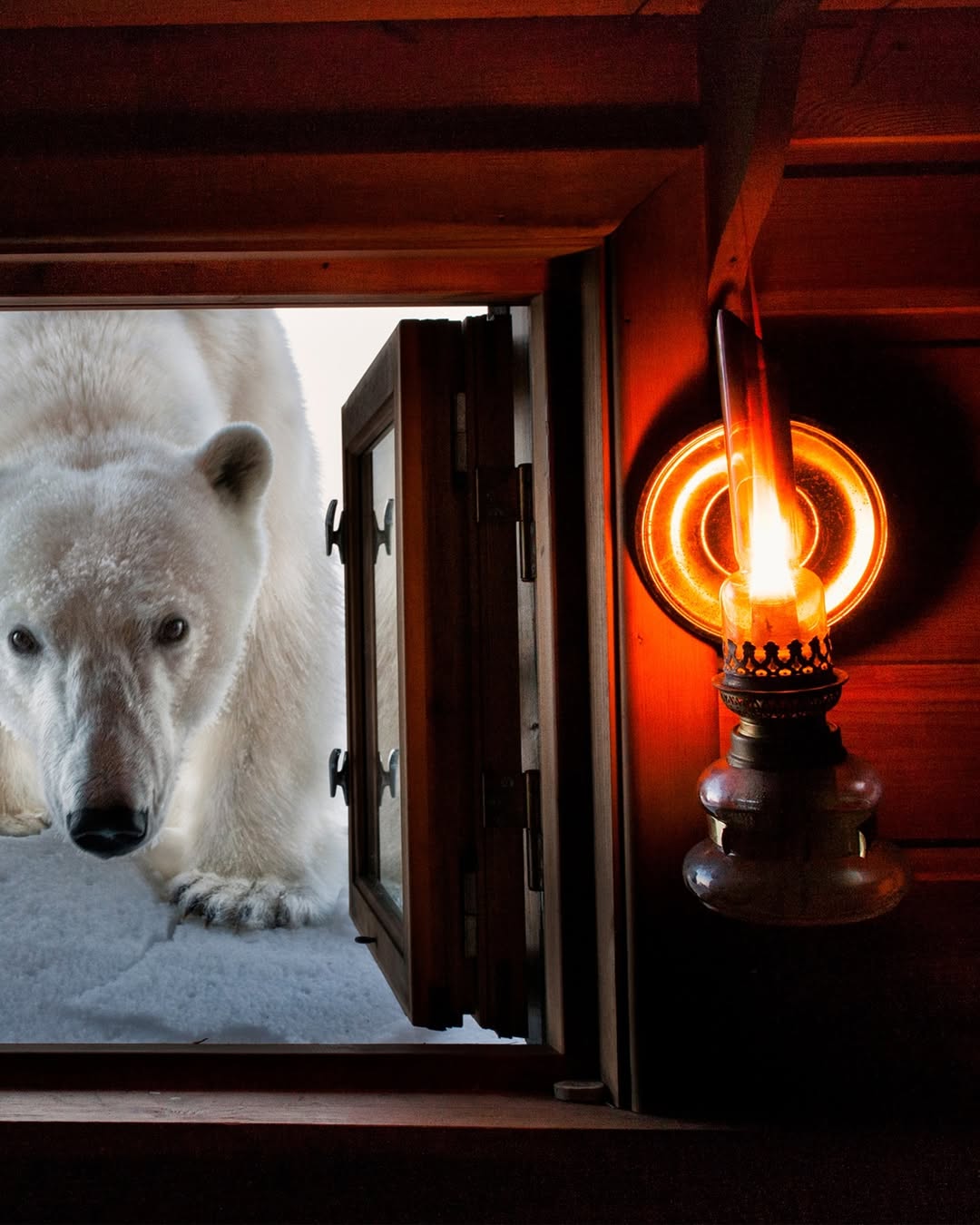 PaulNicklen 9