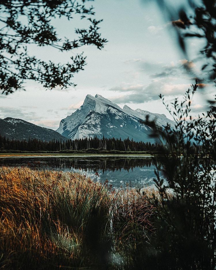 PeterMcKinnon 3