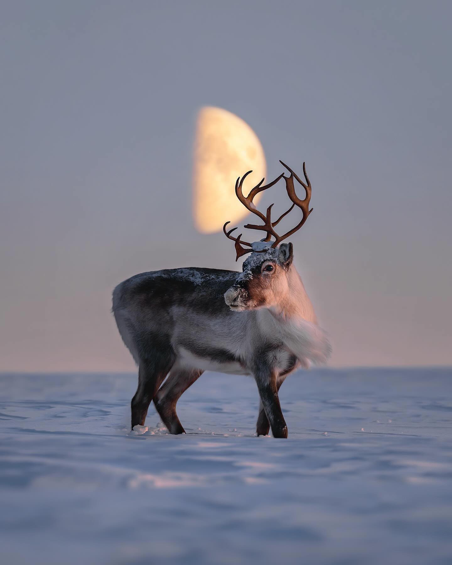 TobiasHägg 3