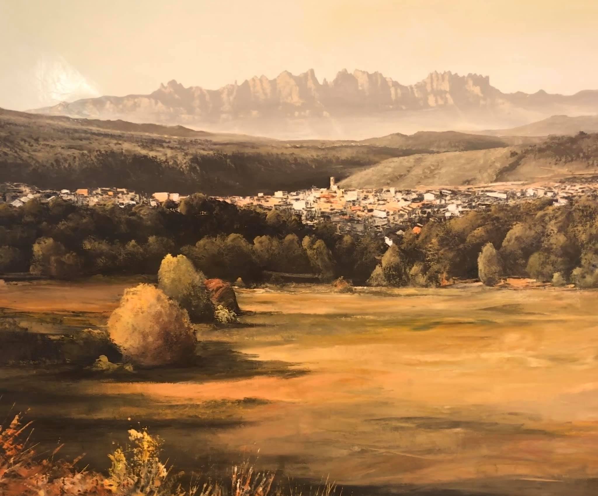 joanvilaarimany