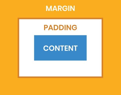 margin & padding