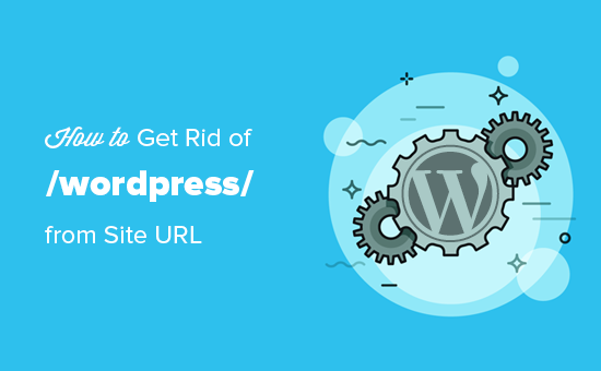 portar url en wordpress