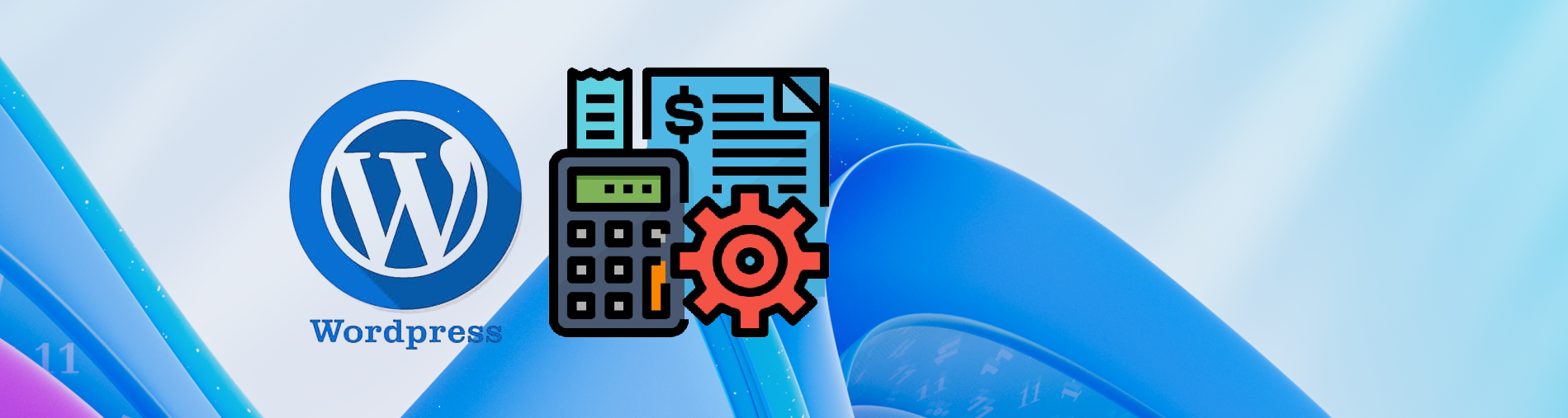 Banner Sistema de Comptabilitat